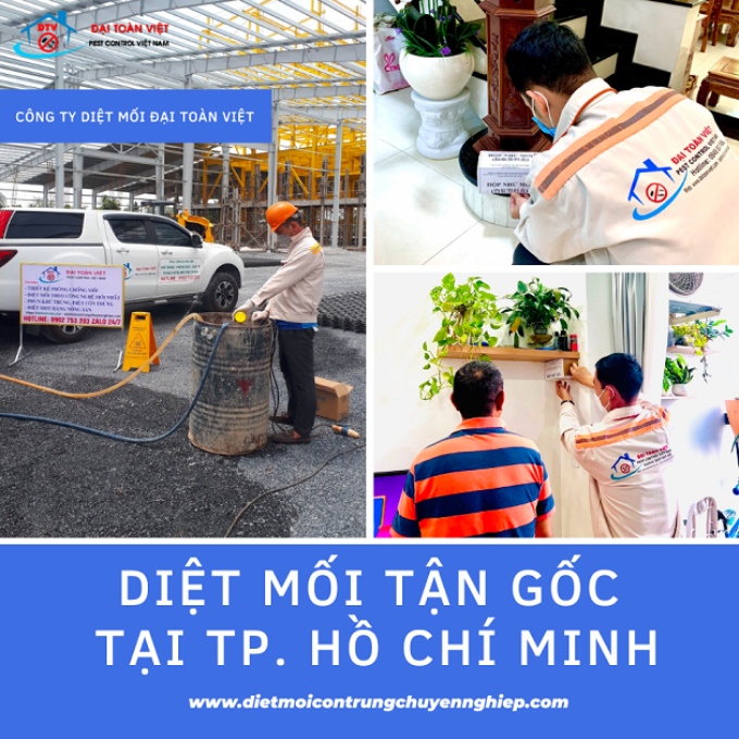 Top 10 dịch vụ diệt mối tận gốc tại TPHCM: Công ty diệt mối và côn trùng Đại Toàn Việt